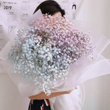 Valentine's Day 2023 Giant Galaxy Baby breath- (Klang Valley Delivery)
