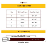 Leather Argen Belt (Nationwide Delivery)