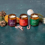 Plant Therapy Holiday Lights Candle 3-Pack (Nationwide Delivery)