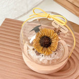 Villy Preserved Flower Globe