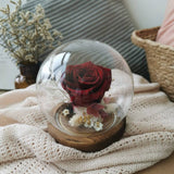 Valentine's Day 2023 Everlasting Love (Preserved Flower Globe) | ( Klang Valley Delivery Only)