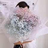 Valentine's Day 2021 Giant Galaxy Baby breath
