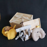 New Born Baby Gift Box - BXL04 (Klang Valley Delivery)