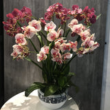 Artificial Orchid Flower Arrangement